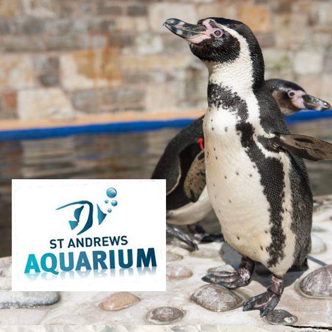 St. Andrews Aquarium Tickets